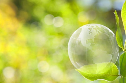 Product stewardship and environmental management
